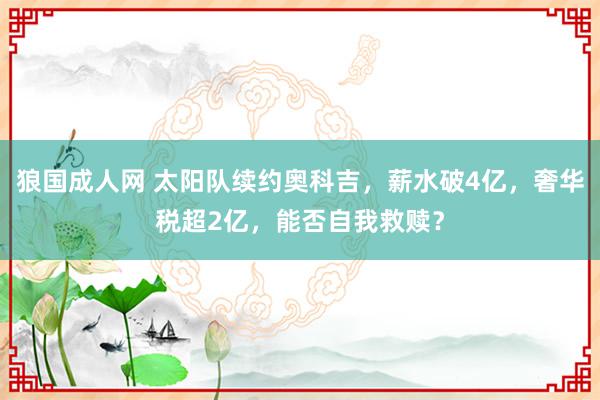 狼国成人网 太阳队续约奥科吉，薪水破4亿，奢华税超2亿，能否自我救赎？