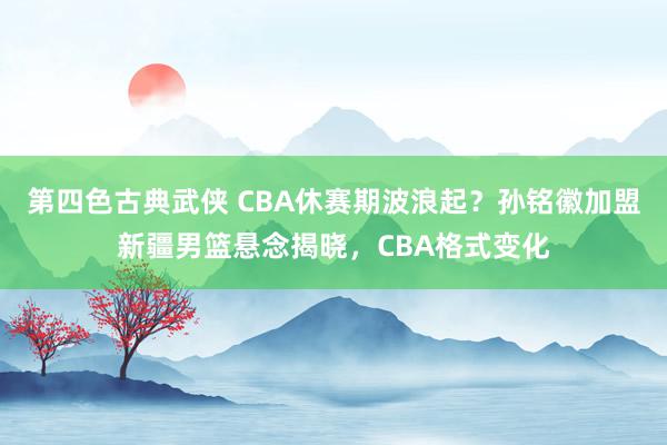 第四色古典武侠 CBA休赛期波浪起？孙铭徽加盟新疆男篮悬念揭晓，CBA格式变化