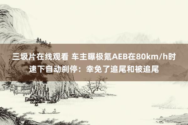 三圾片在线观看 车主曝极氪AEB在80km/h时速下自动刹停：幸免了追尾和被追尾