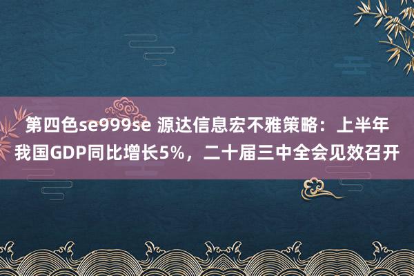 第四色se999se 源达信息宏不雅策略：上半年我国GDP同比增长5%，二十届三中全会见效召开