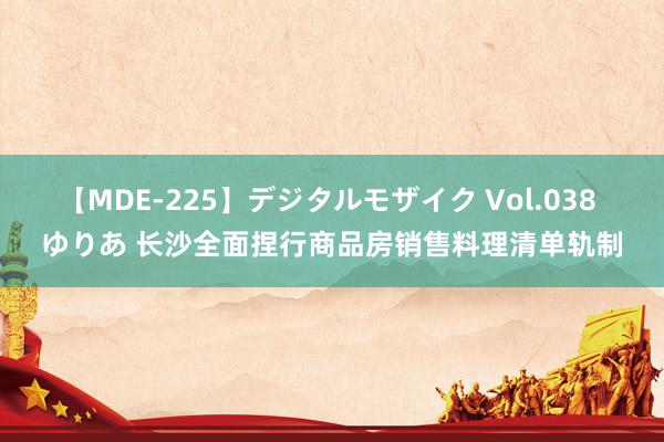 【MDE-225】デジタルモザイク Vol.038 ゆりあ 长沙全面捏行商品房销售料理清单轨制