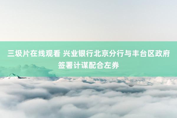 三圾片在线观看 兴业银行北京分行与丰台区政府签署计谋配合左券