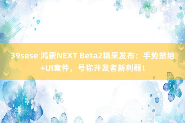 39sese 鸿蒙NEXT Beta2精采发布：手势禁绝+UI套件，号称开发者新利器！