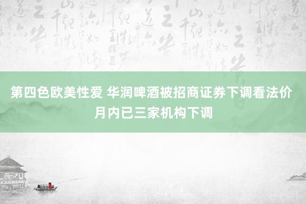 第四色欧美性爱 华润啤酒被招商证券下调看法价 月内已三家机构下调