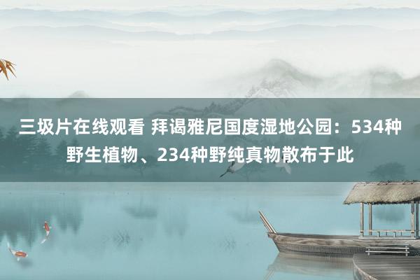 三圾片在线观看 拜谒雅尼国度湿地公园：534种野生植物、234种野纯真物散布于此