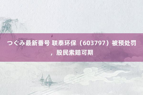 つぐみ最新番号 联泰环保（603797）被预处罚，股民索赔可期