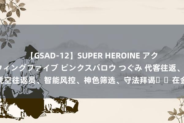 【GSAD-12】SUPER HEROINE アクションウォーズ 超翼戦隊ウィングファイブ ピンクスパロウ つぐみ 代客往返、凭空往返员、智能风控、神色筛选、守法拜谒⋯⋯在金融行业，AI的掀开状貌是？