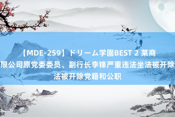 【MDE-259】ドリーム学園BEST 2 莱商银行股份有限公司原党委委员、副行长李锋严重违法坐法被开除党籍和公职