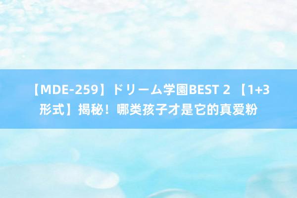 【MDE-259】ドリーム学園BEST 2 【1+3形式】揭秘！哪类孩子才是它的真爱粉