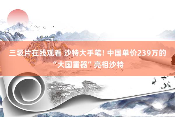 三圾片在线观看 沙特大手笔! 中国单价239万的“大国重器”亮相沙特