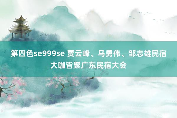 第四色se999se 贾云峰、马勇伟、邹志雄民宿大咖皆聚广东民宿大会