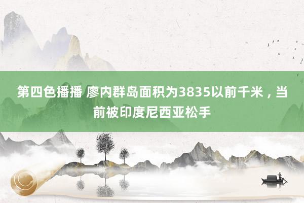 第四色播播 廖内群岛面积为3835以前千米 , 当前被印度尼西亚松手