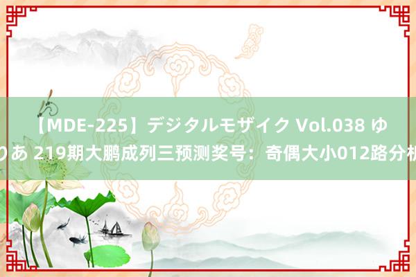 【MDE-225】デジタルモザイク Vol.038 ゆりあ 219期大鹏成列三预测奖号：奇偶大小012路分析