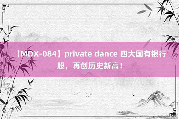 【MDX-084】private dance 四大国有银行股，再创历史新高！