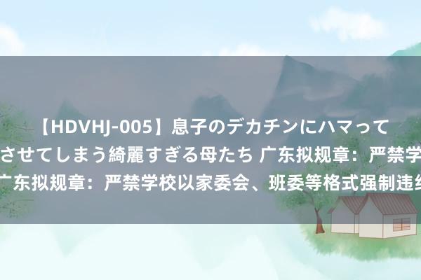 【HDVHJ-005】息子のデカチンにハマってしまい毎日のように挿入させてしまう綺麗すぎる母たち 广东拟规章：严禁学校以家委会、班委等格式强制违纪收费