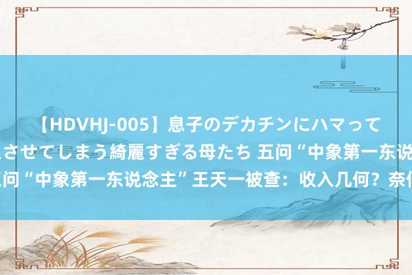 【HDVHJ-005】息子のデカチンにハマってしまい毎日のように挿入させてしまう綺麗すぎる母たち 五问“中象第一东说念主”王天一被查：收入几何？奈何量刑？